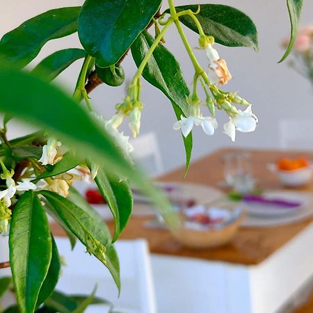 Corte Mercurio B&B Удженто Екстериор снимка
